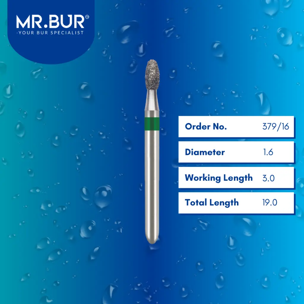 FG Standard EGG-379_16.webp