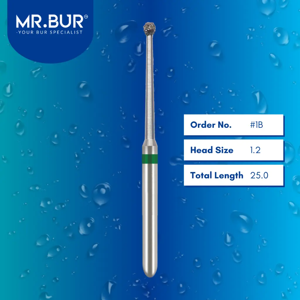 Endodontic-Long-Neck-Round-Bur-#1B.webp